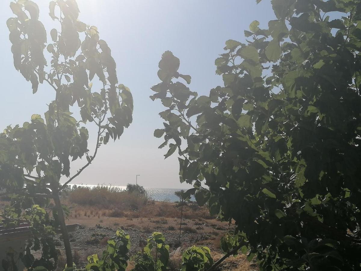 12 Senses Faliraki Sea View المظهر الخارجي الصورة